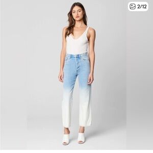 Blank NYC Baxter Jean